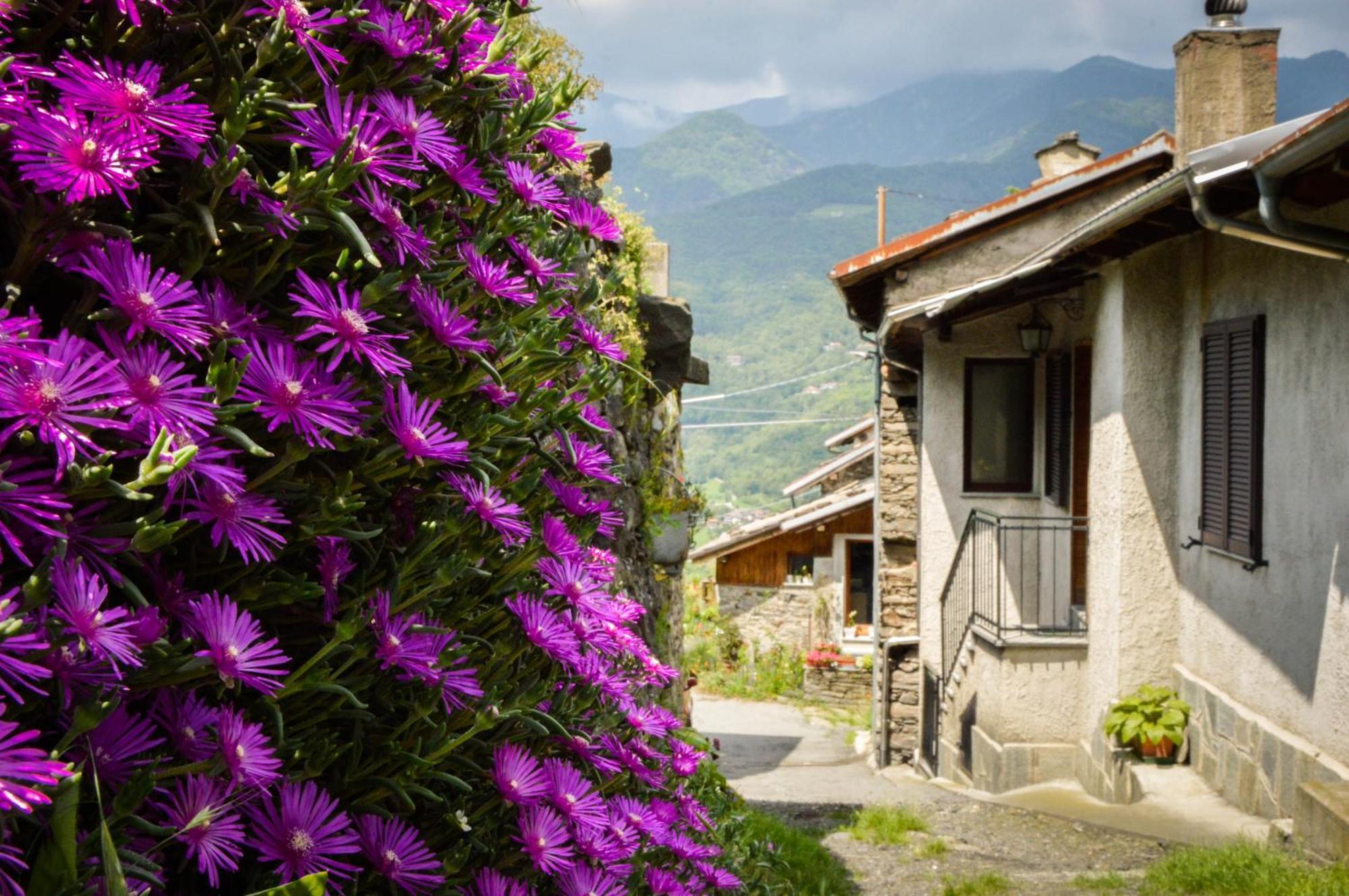 Appartamento Chalet in pietra e legno con caminetto Inverso Pinasca Esterno foto