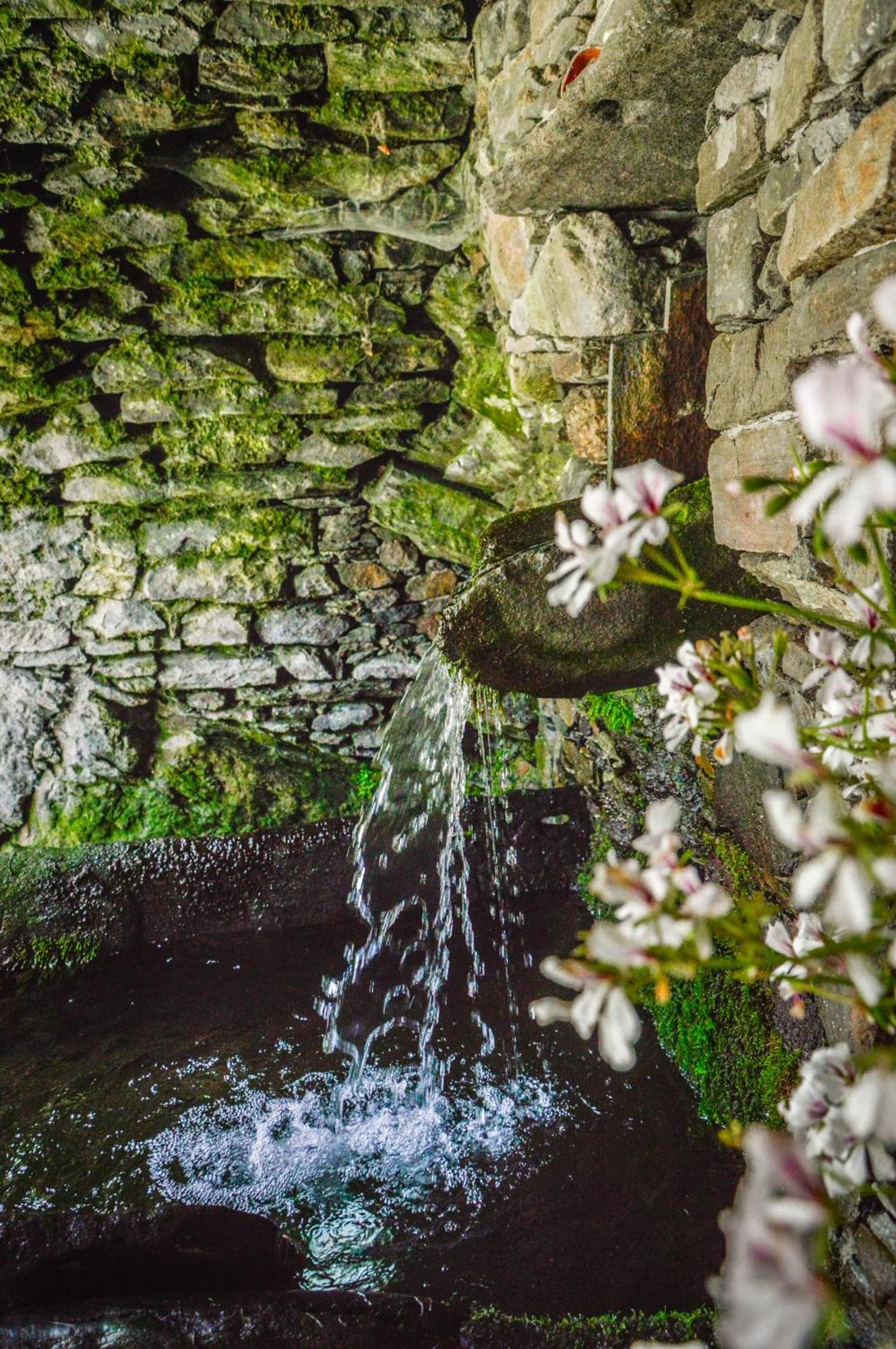 Appartamento Chalet in pietra e legno con caminetto Inverso Pinasca Esterno foto